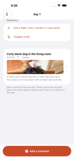 A photo of a dog in a day view, under a title and description the app wrote by itself